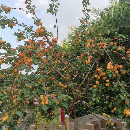 アパート Residenza Sant'angelo チッタ・サンタンジェロ