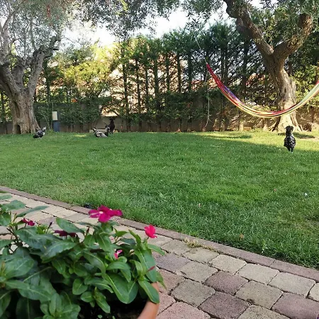 Residenza Sant'angelo Ampio Con Giardino Vicino Al Mare Citta Sant'Angelo