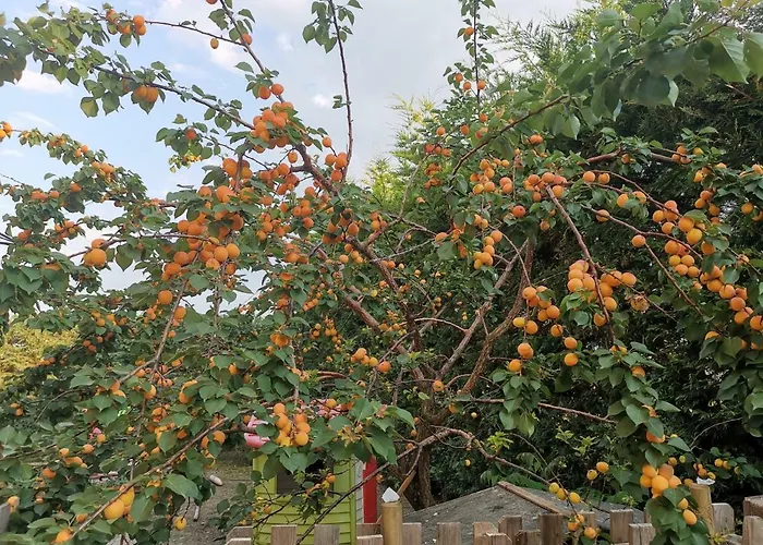 Apartmán Residenza Sant'angelo Citta Sant'Angelo